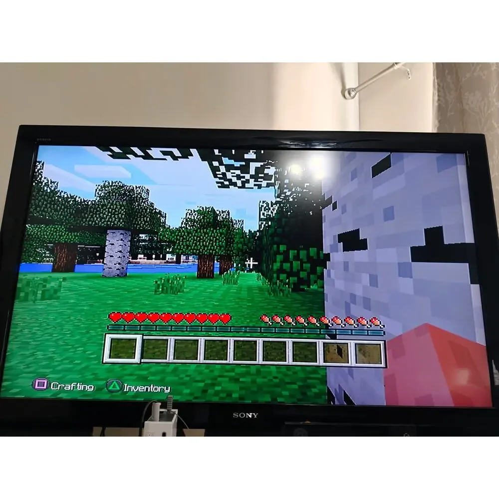 Minecraft PlayStation 3 Edition Case+Disc